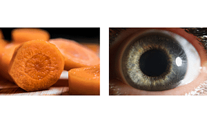 Carrots for eye health - natural connection