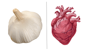Garlic and heart health - natural mmedicine