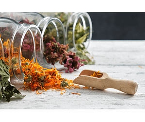 Holistic health - Natural Herbal Medicines